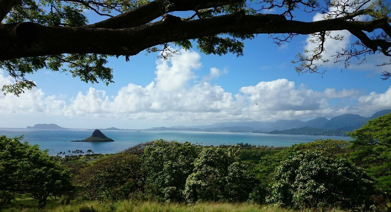 フラスクールについて